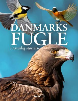 Fugle i naturen